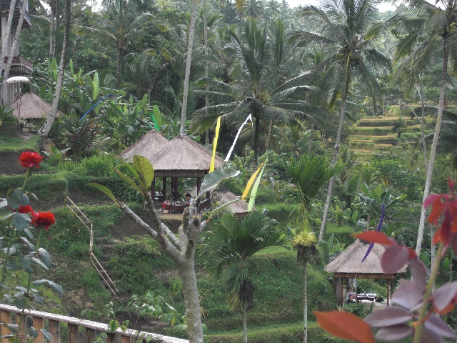 bali02