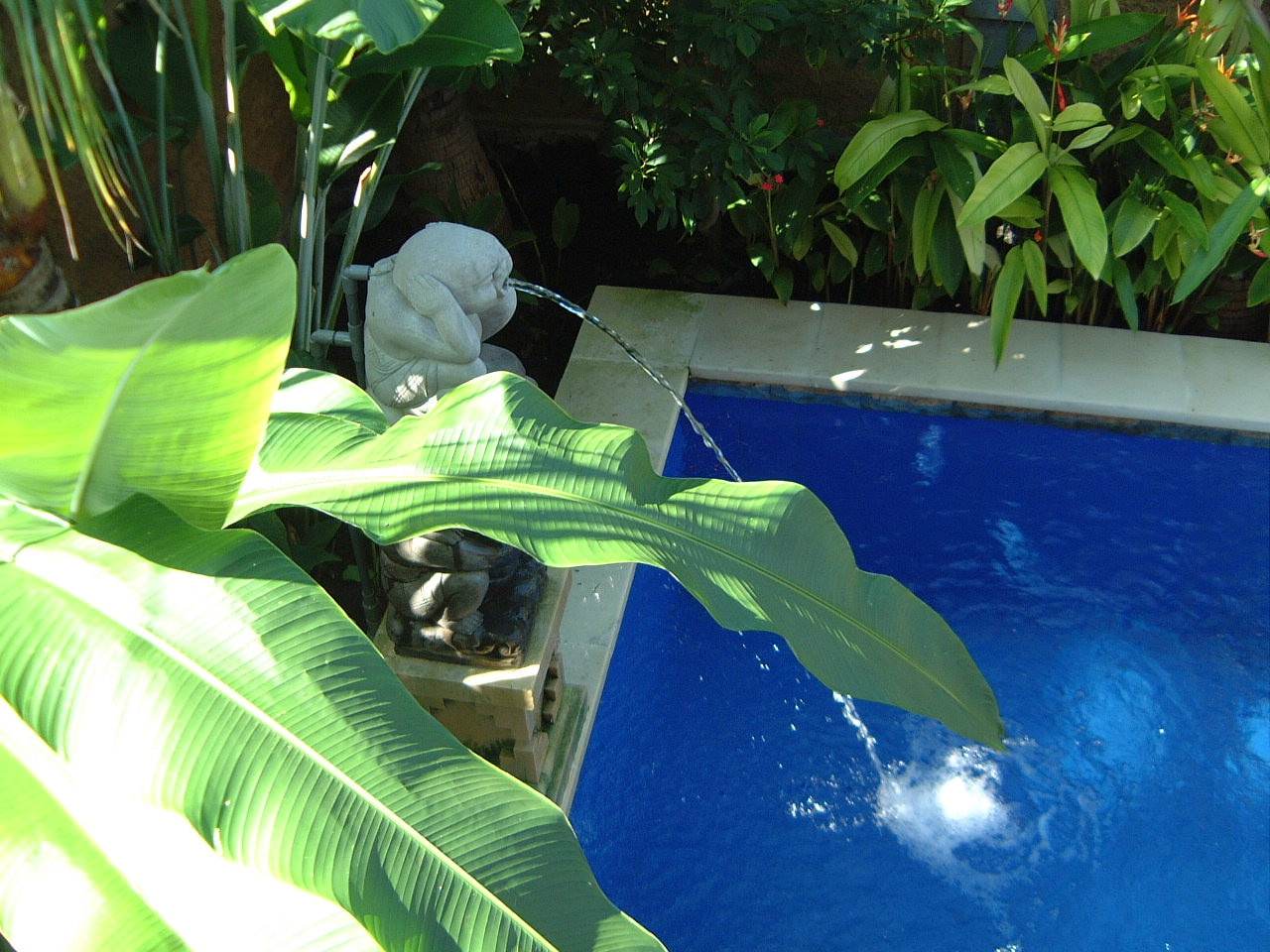 ようこそ サヌールヘ